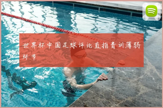 世界杯中国足球评论直指青训薄弱环节