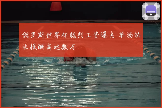 俄罗斯世界杯裁判工资曝光 单场执法报酬高达数万