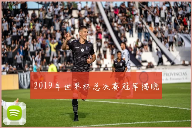 2019年世界杯总决赛冠军揭晓