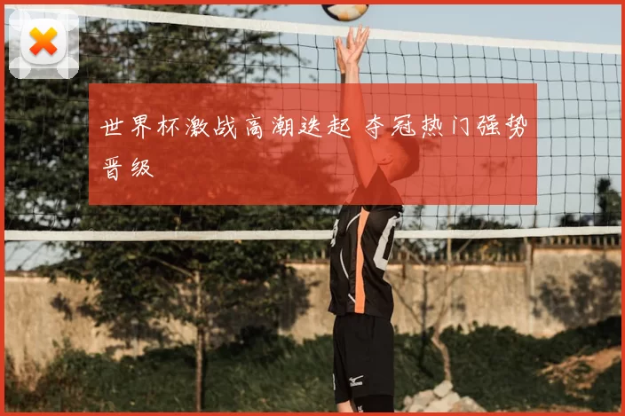 世界杯激战高潮迭起 夺冠热门强势晋级