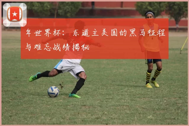 年世界杯：东道主美国的黑马征程与难忘战绩揭秘