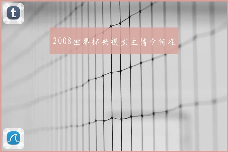 2008世界杯央视女主持今何在