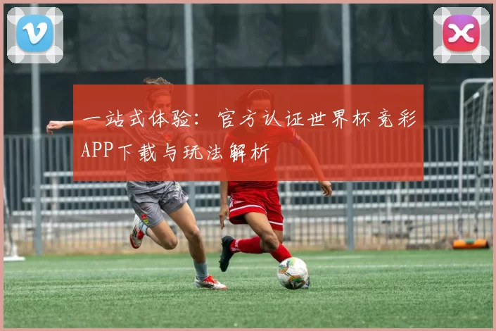 一站式体验:官方认证世界杯竞彩APP下载与玩法解析