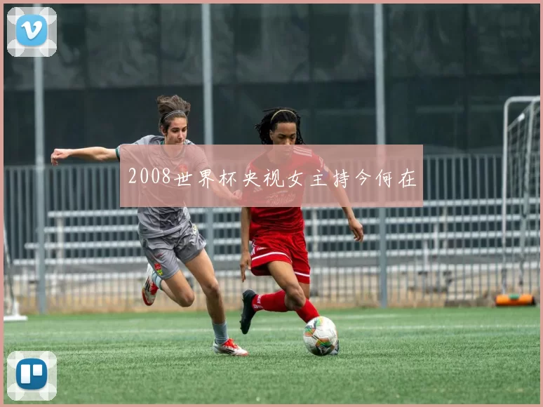 2008世界杯央视女主持今何在