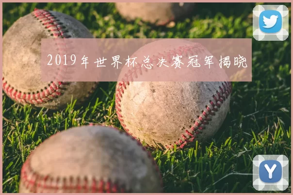 2019年世界杯总决赛冠军揭晓