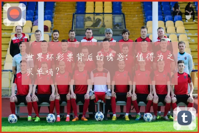 世界杯彩票背后的诱惑：值得为之买单吗？