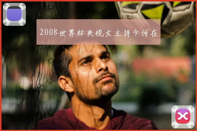 2008世界杯央视女主持今何在