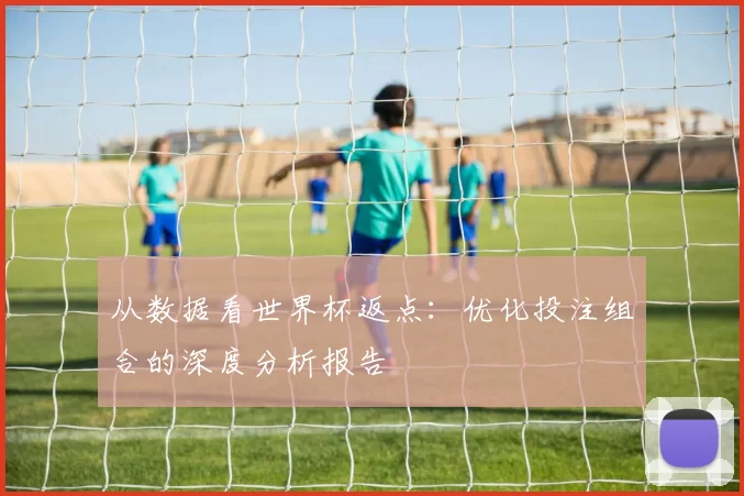 从数据看世界杯返点：优化投注组合的深度分析报告