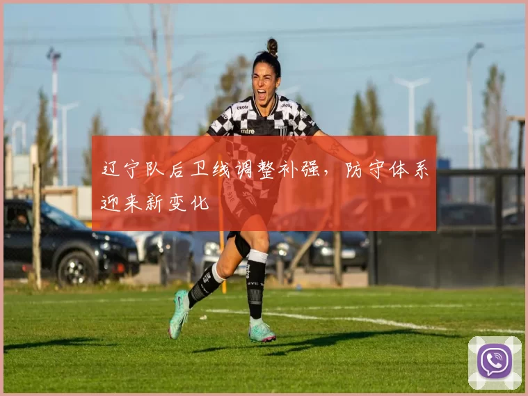 辽宁队后卫线调整补强,防守体系迎来新变化