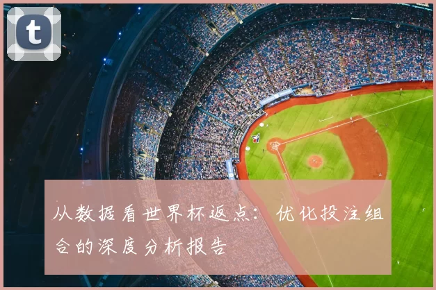 从数据看世界杯返点:优化投注组合的深度分析报告