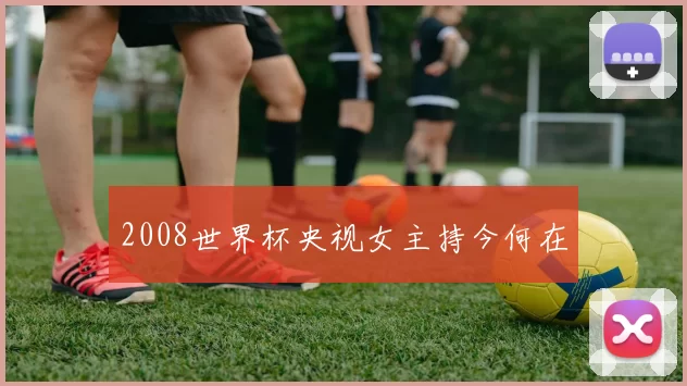 2008世界杯央视女主持今何在